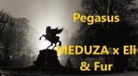 Meduza feat. Eli & Fur - Pegasus (Aleksander Stolz Remix)