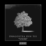 Luca Testa & Rudeejay Feat. David Todoran - Dragostea Din Tei (Hardstyle Remix)