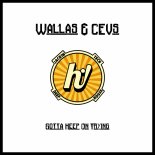 Wallas & CEV's - Gotta Keep On Trying