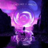 Dom Livez & ANIZYZ - Escape (Extended Mix)