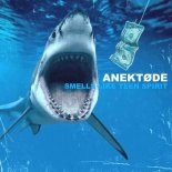 ANEKTØDE - Smells Like Teen Spirit (Radio Edit)