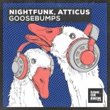NightFunk & Atticus - Goosebumps