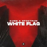 DJSM & Sp3ctrum - White Flag