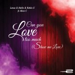 Lotus & Molio & Robins S Feat. Mico C - Can You Love Too Much (Show Me Love) (Extended Mix)