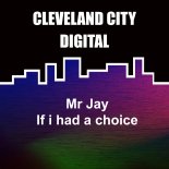 Mr Jay - If I Had A Choice (Original Mix)