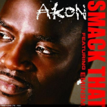 Akon & Eminem  - Smack That (Freeze Remix)