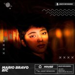 Mario Bravo - Bic (Original Mix)