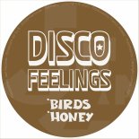 Disco Feelings - Honey (Extended)