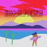 Netto, Roaz, Hadart, Cool 7rack - Calm Down (Remix)