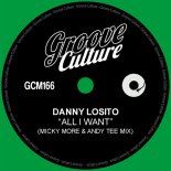 Danny Losito - All I Want (Micky More & Andy Tee Extended Mix)