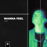 Jínzz - Wanna Feel (Extended)