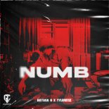 Hayasa G feat. Tyler0112 & Gangster City - Numb