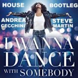 Whitney Houston - I Wanna Dance With Somebody (Andrea Cecchini, Steve Martin BOOTLEG)
