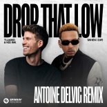 Tujamo & Kid Ink - Drop That Low (When I Dip) [Antoine Delvig Extended Remix]