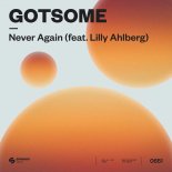 GotSome Feat. Lilly Ahlberg - Never Again