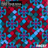 Bolier - Feed Your Soul (Extended)