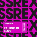 Zepplar - Falling In Love