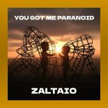 Zaltaio - You Got Me Paranoid