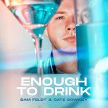 Sam Feldt & Cate Downey - Enough To Drink (Wave Wave Extended Remix)