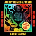 Alexey Romeo, Savin - Dark Feelings (Giorgio Brindesi Remix)