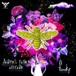 Andres Power, Outcode - Funky (Original Mix)