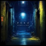 Pęku - Dark Chronicles (Original Mix)