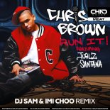 Chris Brown feat. Juelz Santana - Run It! (DJ Sam & ImI Choo Radio Edit)