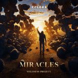 Wildness Project - Miracles