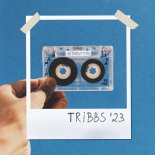 Tribbs - Without You (sky sound Remix)
