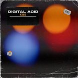 Rodg - Digital Acid (Extended Mix)
