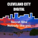 Secret Sinz - Nobody Like You (Original Mix)