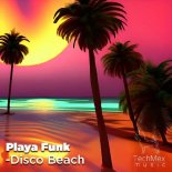 Playa Funk - House, EDM, Techno (Original Mix)