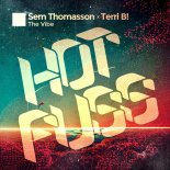 Sem Thomasson & Terri B! - The Vibe