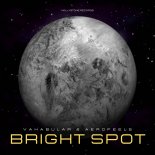 Vakabular & Aerofeel5 - Bright Spot (Extended Mix)