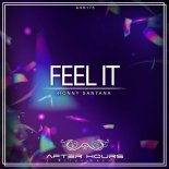 Ronny Santana - Feel It (Original Mix)