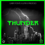 GABRY PONTE & LUM!X & GIORGIO PREZIOSO feat. SHIBUI - Thunder (DJ 491 Remake 2K23)