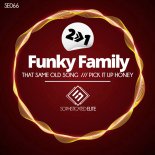 Funky Family - That Same Old Song (Original Mix)