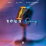 2Shy, DJ tani, Elise Lieberth - Your Song