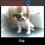 Ultra Funkular Sound - Lady (Extended Mix)