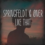 Springfeldt & Oner - Like That