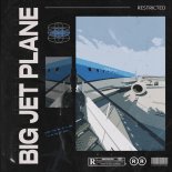 Restricted - Big Jet Plane (Denis First Extended Remix)