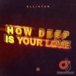 ELLISTER - How Deep Is Your Love (Radio Edit)