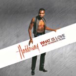 Haddaway - What is love (Ayur Tsyrenov Extended Remix)
