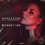 BLAIKZ & PYTRO FEAT. LISAWANDERLUST - Without You (Original Mix)