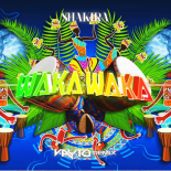 Shakira - Waka Waka (VAYTO REMIX) 2023