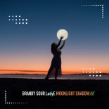 Brandy Sour & Ladye - Moonlight Shadow (Extended Mix)