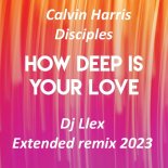 Calvin Harris & Disciples - How Deep Is Your Love (Dj Llex Extended Remix 2023)