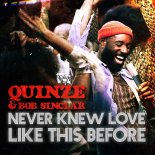 Quinze & Bob Sinclar - Never Knew Love Like This Before (Extended Mix)