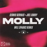 Cedric Gervais & Joel Corry - MOLLY (Will Sparks Extended Remix)