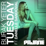 Burak Yeter Feat. Danelle Sandoval - Tuesday (PAJANE Remix  Radio Edit)